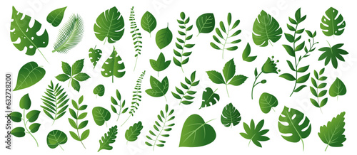 Leaves and plants collection - Big bundle set of various leaf design in green gradient colours on white background