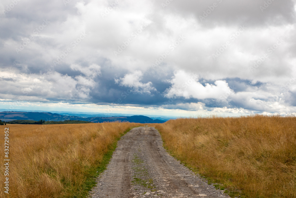 Landscape with a dirt road on a field with dry grass on a cloudy day