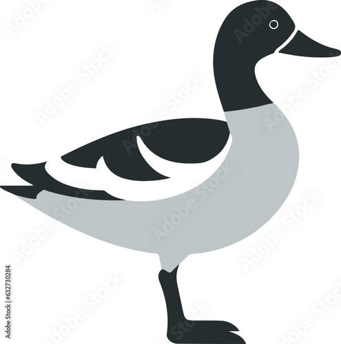 Gadwall Duck Icon
