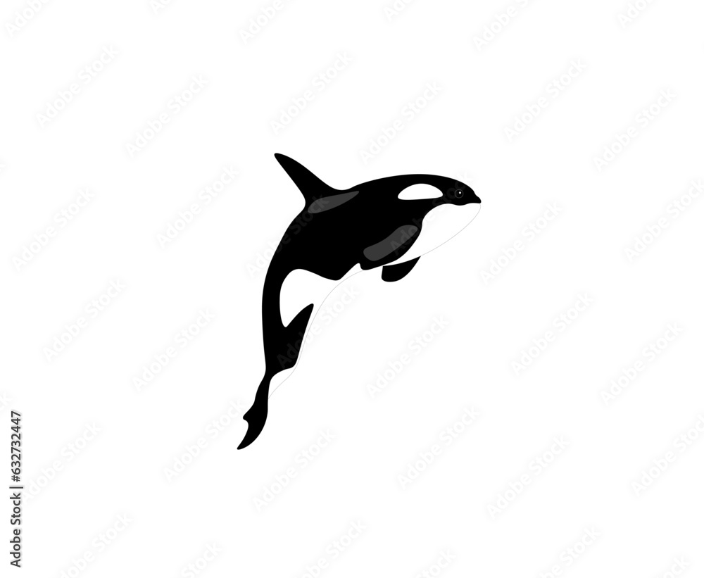 Cartoon black and white killer whale. Vector illustration Cartoon black and white killer whale. Vector illustration