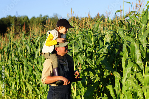 a farmer with a child harvests corn in the field. a farming family farm. the father's day