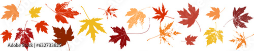Fall or autumn maple leaves in red orange and yellow design element. Fall vector illustration of colorful png or jpg with texture grunge. Autumn clip art. Underline or border design that can repeat.