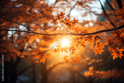 Sunlight Peeking Through Autumn Canopy Generative AI © forenna