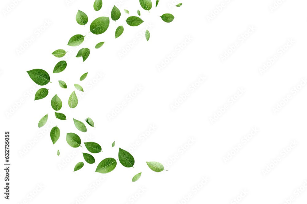Natural of Tropical green leaves of leaf isolated on clean png background, varies different of plant botanical, with Generative Ai. Natural of Tropical green leaves of leaf isolated on clean png background, varies different of plant botanical, with Generative Ai.