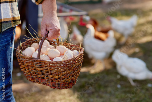 Leinwand Poster farmer holding goat with eggs in chicken eco farm, free range chicken farm