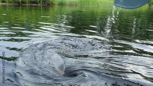 Oar - a special device propulsion in the form of a narrow shovel for setting small vessels in motion by rowing acts on the principle of a lever. Fishing on Lake Lososinnoye, Karelia. Sedge on the photo