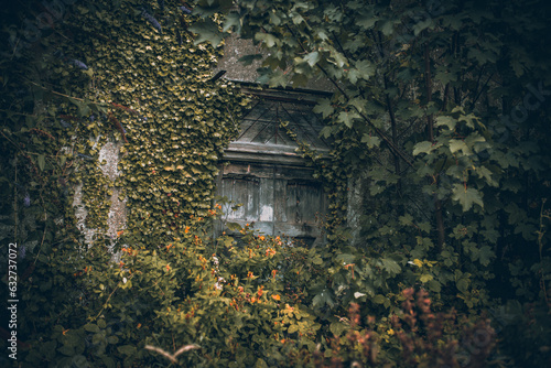 Old overgrown building in center of the small town, Llanfairfechan, North Wales, Cymru, UK © Pavel