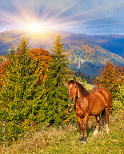 portrait of a brown horse standing on a field with mountains