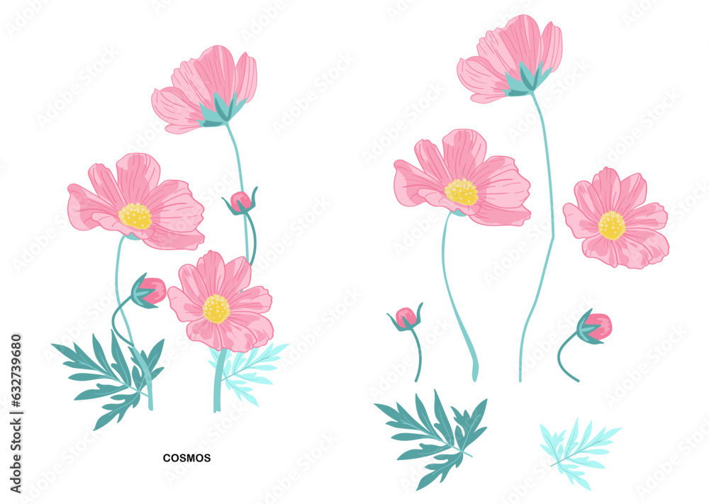 Pink Cosmos Flower Set