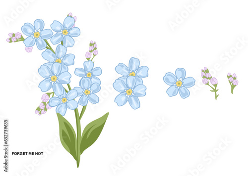 Forget Me Nots Flower Set