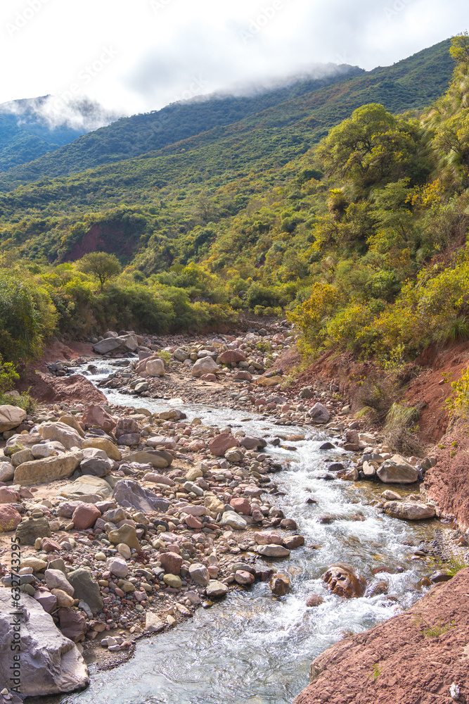 RIVER IN CALILEGUA NATIONAL PARK. YUNGAS OF JUJUY, ARGENTINA. RIVER IN CALILEGUA NATIONAL PARK. YUNGAS OF JUJUY, ARGENTINA.