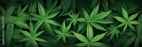 World of Cannabis, Marijuana, Hemp, and Ganja Plants