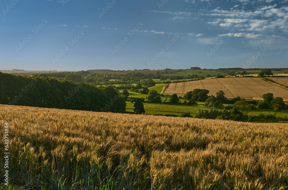 View over fields and rolling hills in English countryside during summer on sunny day
