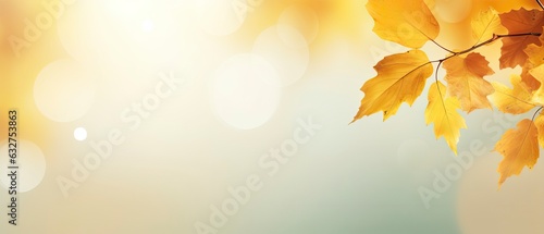 Abstract autumn background with yellow bokeh color and autumn leaves.
