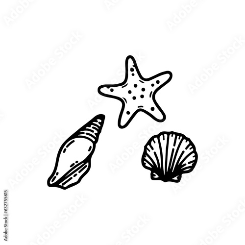 vector illustration of conch and starfish
