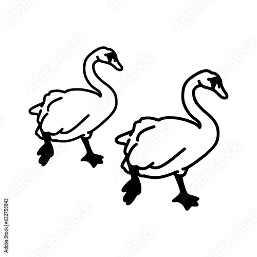 vector illustration of two swans