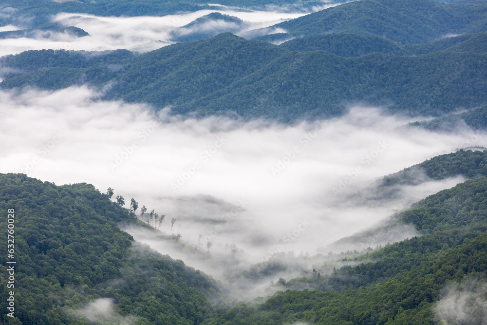 Fog and misty landscape over West Virginia Allegheny Mountains