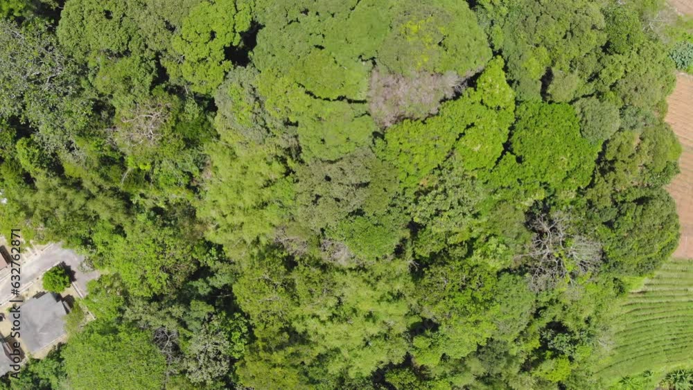 Aerial view of houses in dense tropical green land in Jandar Baik Malaysia Aerial view of houses in dense tropical green land in Jandar Baik Malaysia