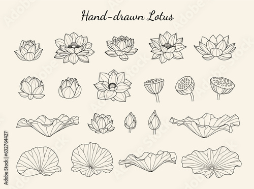 Lotus Elements Set, Waterlily Fine Line Art, Hand drawn Blooms, Buds, Leaves, Vector Lotus, Flower Black & White Drawing, For Tattoo, Cricut, Laser Cut, Branding, Wedding, Print on Demand Graphics