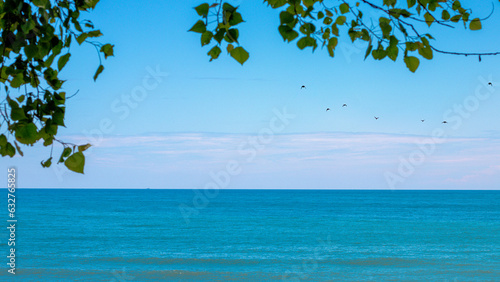 Fototapeta Naklejka Na Ścianę i Meble -   Blue sea with green leaves twig frame background. tourist vacation travel summer season concept.