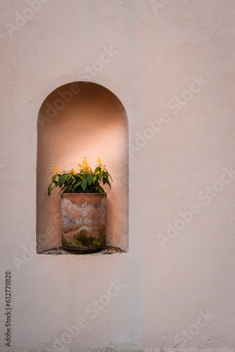 Fotografija Photo of a clay planter with flowers in an alcove on a building wall