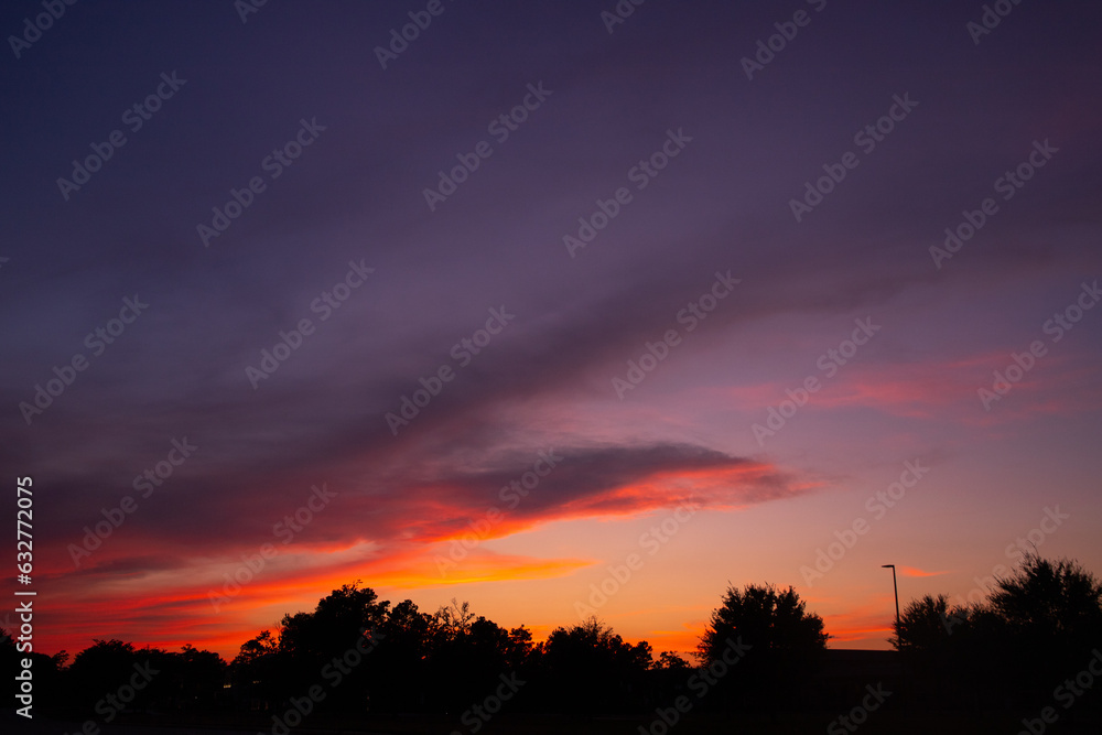 atardecer rosa