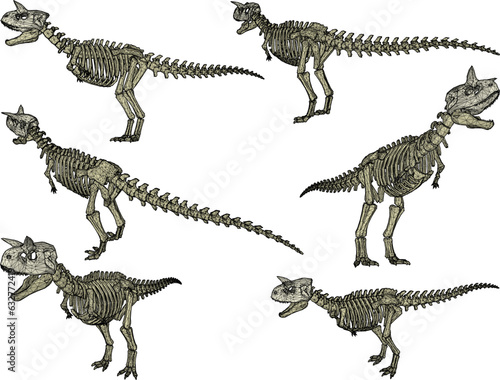 Sketch vector illustration of the skeletal structure of a prehistoric t-rex dinosaur fossil