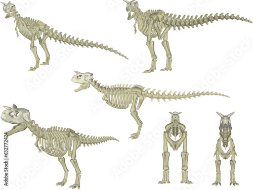 Sketch vector illustration of the skeletal structure of a prehistoric t-rex dinosaur fossil