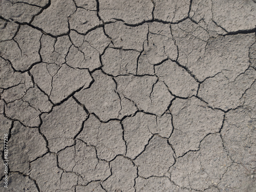 Dry cracked earth. Gray background with cracks.