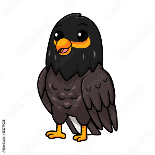 Cute myna bird cartoon posing