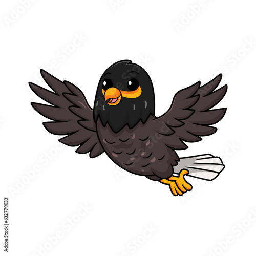 Cute myna bird cartoon flying