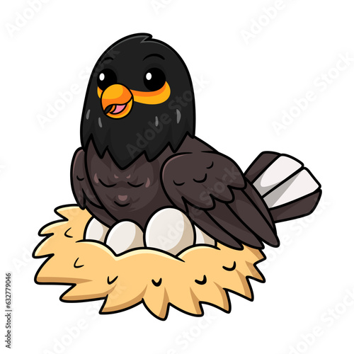 Cute myna bird cartoon with eggs in the nest