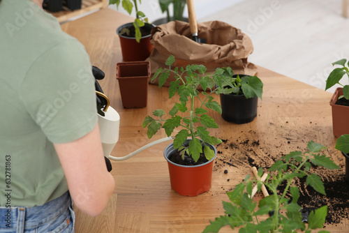 Woman watering seedling in pot at wooden table indoors, closeup