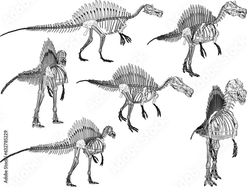 Vector sketch illustration of the skeletal structure of a prehistoric carnivorous dinosaur fossil