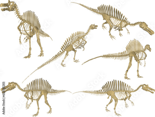 Vector sketch illustration of the skeletal structure of a prehistoric carnivorous dinosaur fossil © nur