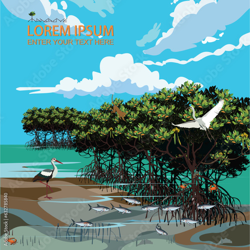 Mangrove trees and marine animal habitats