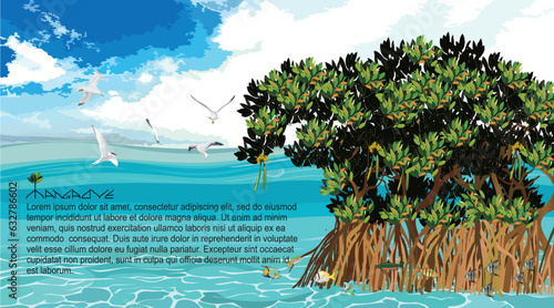 Mangrove trees and marine animal habitats