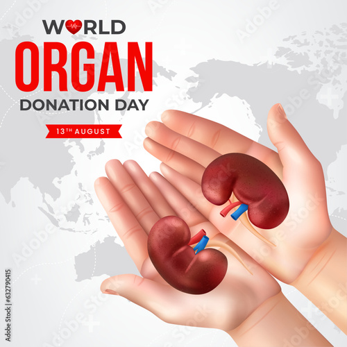 World organ donation day with kidneys for transplantation, saving lives, social network post, artwork, print, doodle, vector illustration (Vector)