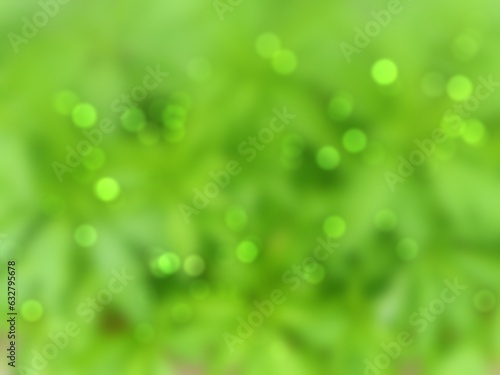 green grass background