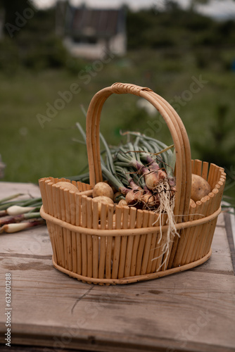 New potatoes in a basket and green onions.