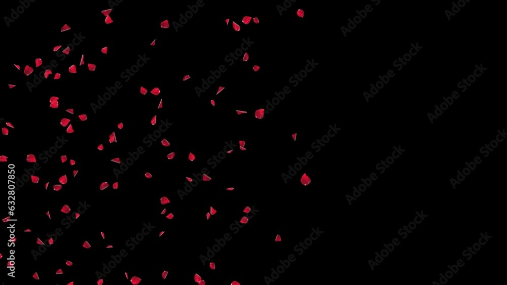 Romantic Falling swirling pink rose petals Cherry Blossom background. Engagement, Marriage, Celebration, Valentine Day, Mother, Greeting, Invitation, Birthday, Beauty, Passion. sakura cherry. Romantic Falling swirling pink rose petals Cherry Blossom background. Engagement, Marriage, Celebration, Valentine Day, Mother, Greeting, Invitation, Birthday, Beauty, Passion. sakura cherry.