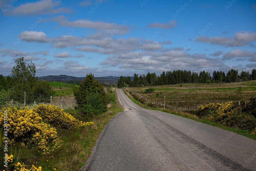 Fototapeta premium 2023-06-05 A LONG COUNTRY ROAD LINES WITH LOCAL FOLIAGE AND NICE BLUE SKY WITH CLOUDS OUTSIDE OF LAIRG SCOTLAND