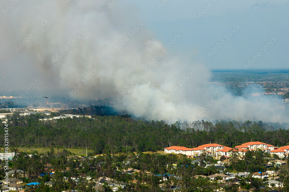 Fototapeta premium View from above of lagre wildfire burning severely in North Port city, Florida. Hot flames in forest with toxic smoke polluting atmosphere