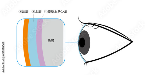 涙の三層構造