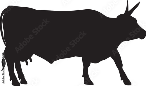 Cattle vector silhouette illustration photo