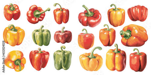 watercolor bell pepper clipart for graphic resources