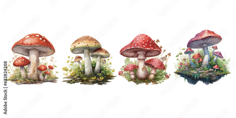 watercolor mushroom clipart for graphic resources - obrazy, fototapety, plakaty 