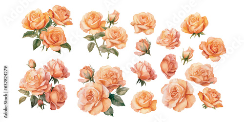 watercolor peach rose clipart for graphic resources