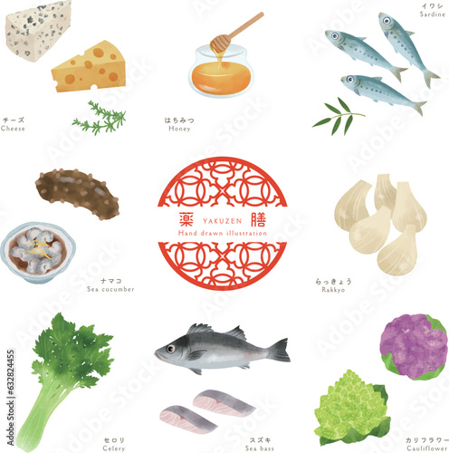 冬の薬膳-5/食材の手描きイラスト
