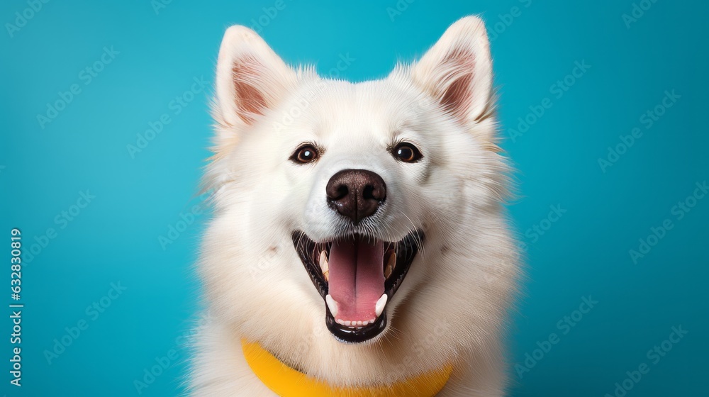 Photo of a Japanese Spitz dog with a yellow collar created with Generative AI technology